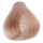 S.21 - Champagne