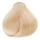 S.32 - Ginger